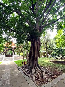 JIUNSHUI TEMPLE DE CONFUCIUS (89)